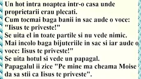 Bancul de miercuri | Iisus și spărgătorul de case