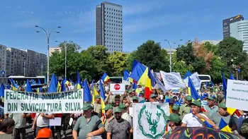 Reorganizarea ROMSILVA reaprinde conflictul dintre sindicate și Ministerul Mediului / Ministerul Justiției solicită refacerea proiectului de HG