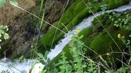 Această cascadă din apropiere de Timișoara ar putea-o detrona pe celebra Bigăr. Imagini SPECTACULOASE