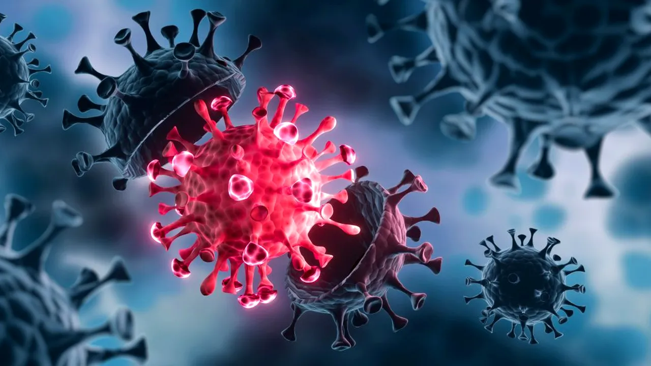 Bilanț coronavirus 16 august. 286 de cazuri noi de COVID în ultimele 24 de ore