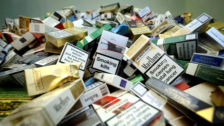 Doi români au fost arestați pe aeroportul din Palermo. Aceștia transportau 4000 de pachete de ȚIGĂRI de contrabandă