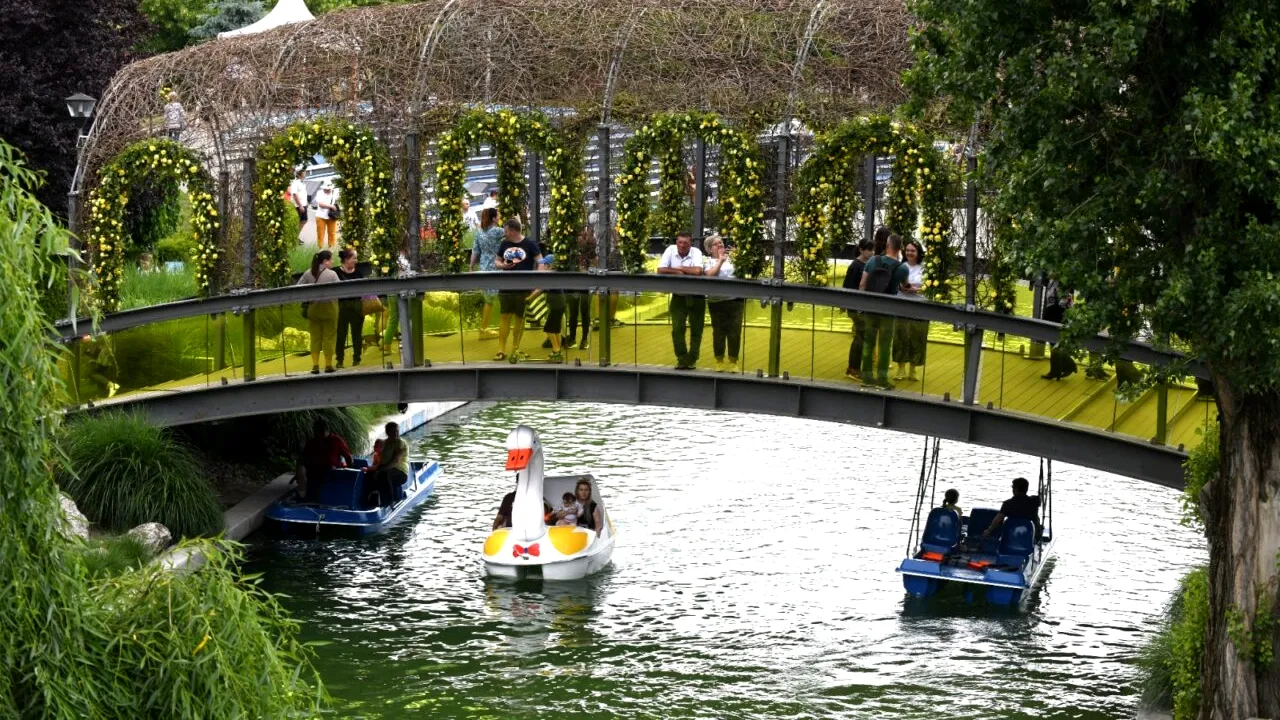 Când se deschide „West Side Flower Fest”, Festivalul Florilor din Drumul Taberei