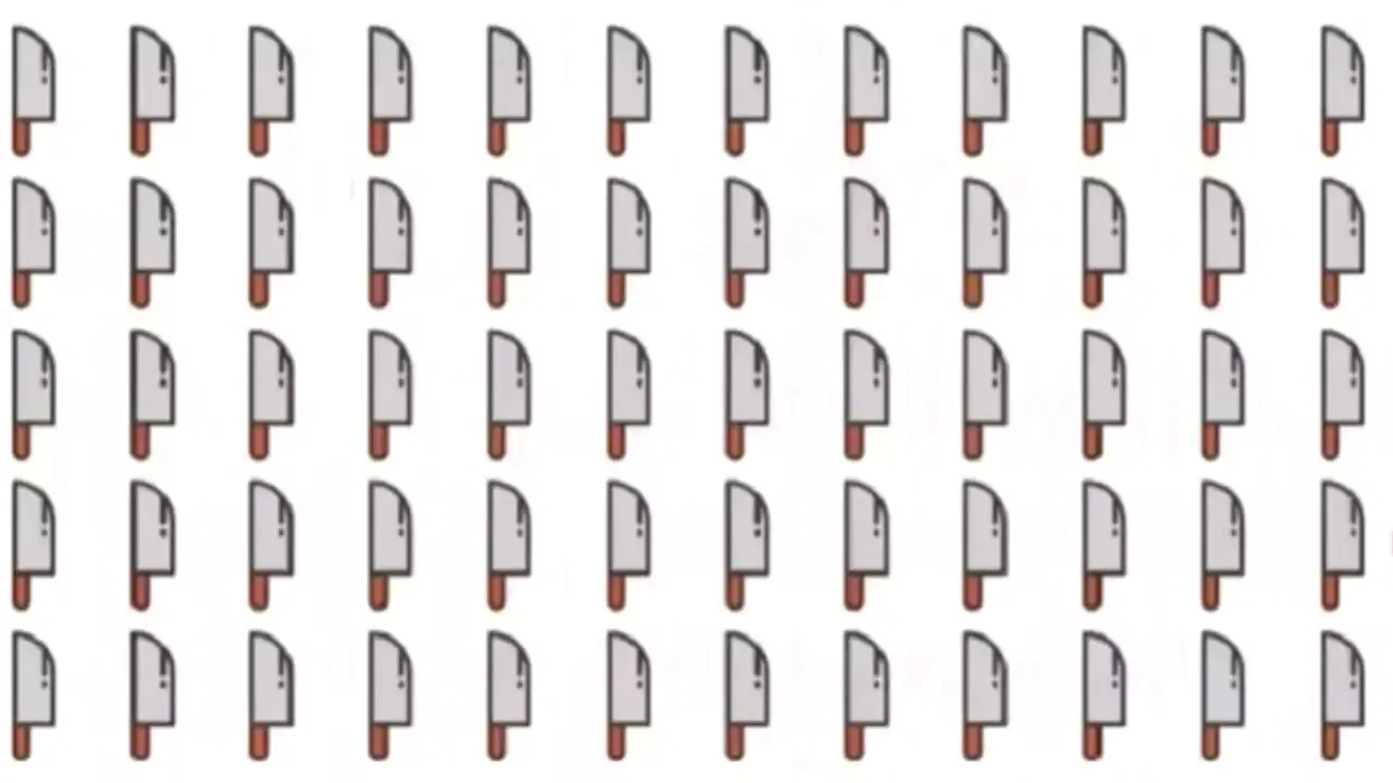 TEST de inteligență | Găsește cuțitul fără pereche! Doar geniile găsesc rezolvarea, în 10 secunde