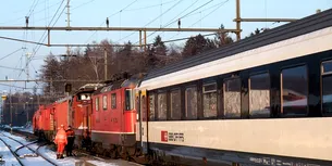 <span style='background-color: #dd9933; color: #fff; ' class='highlight text-uppercase'>ACTUALITATE</span> Accident MORTAL pe magistrala feroviară București-Constanța. Un bărbat a fost lovit de tren între stațiile Basarabi și Dorobanțu