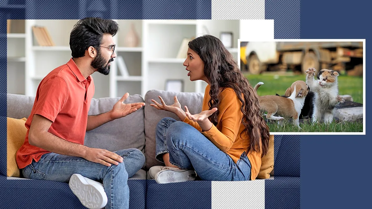 Inteligența artificială a sfătuit-o pe o femeie să divorțeze. Ea și soțul ei au ajuns în fața instanței din Iași