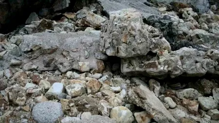 TEST IQ exclusiv pentru genii | Doar 10% dintre oameni observă, în 5 secunde, lunetistul ascuns printre pietre