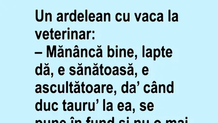BANCUL ZILEI | Un ardelean, cu vaca la veterinar