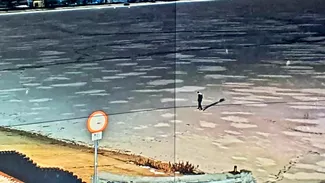 Primăria a făcut anunțul oficial, se dau amenzi de 1500 de lei, în București, pentru cine face această greșeală