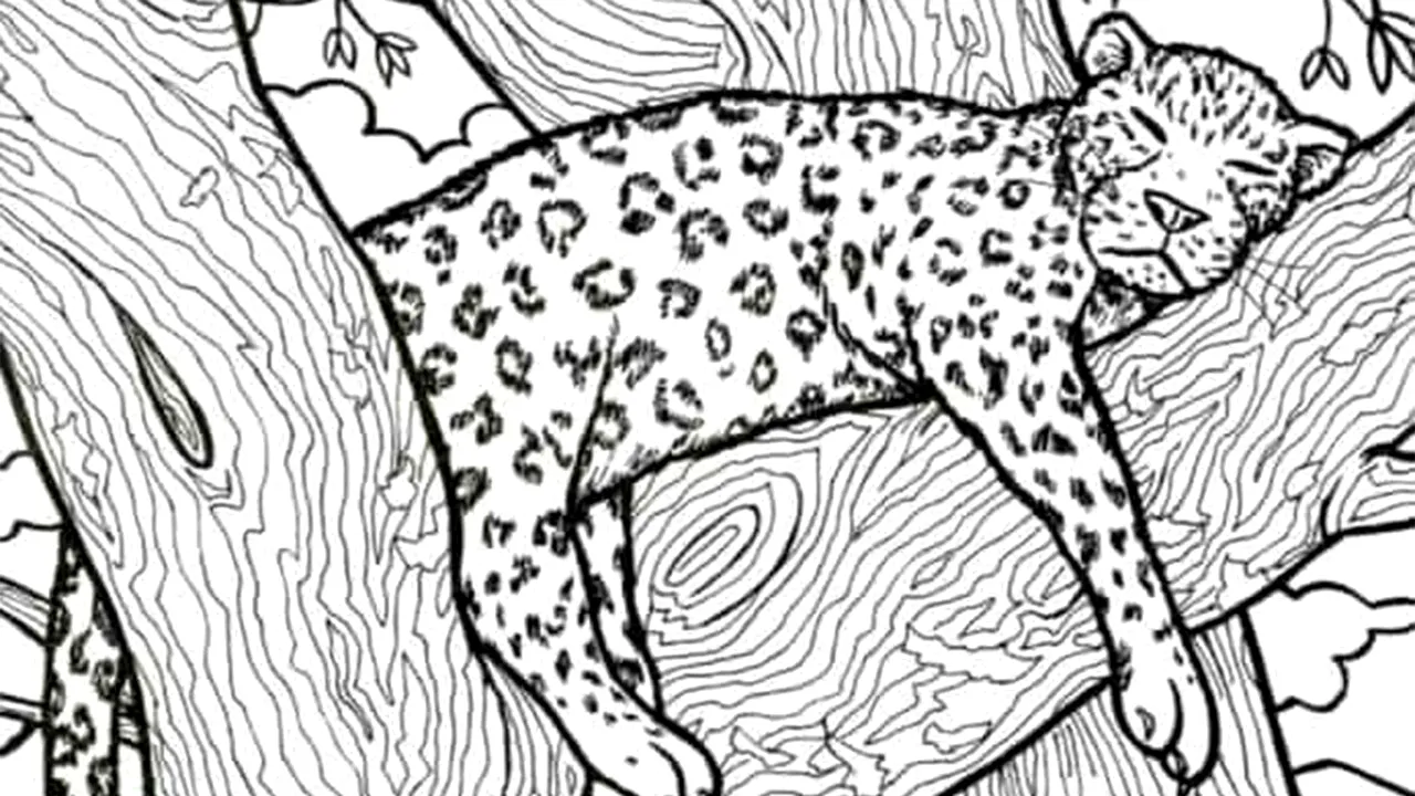 Test de perspicacitate | Doar 3 dintre 100 de oameni pot identifica peștele ascuns în această iluzie optică