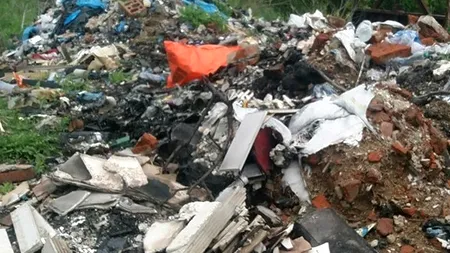 Primăria unui oraș mult lăudat pentru frumusețea sa, amendată cu 15.000 de lei pentru munții de gunoaie de pe străzi