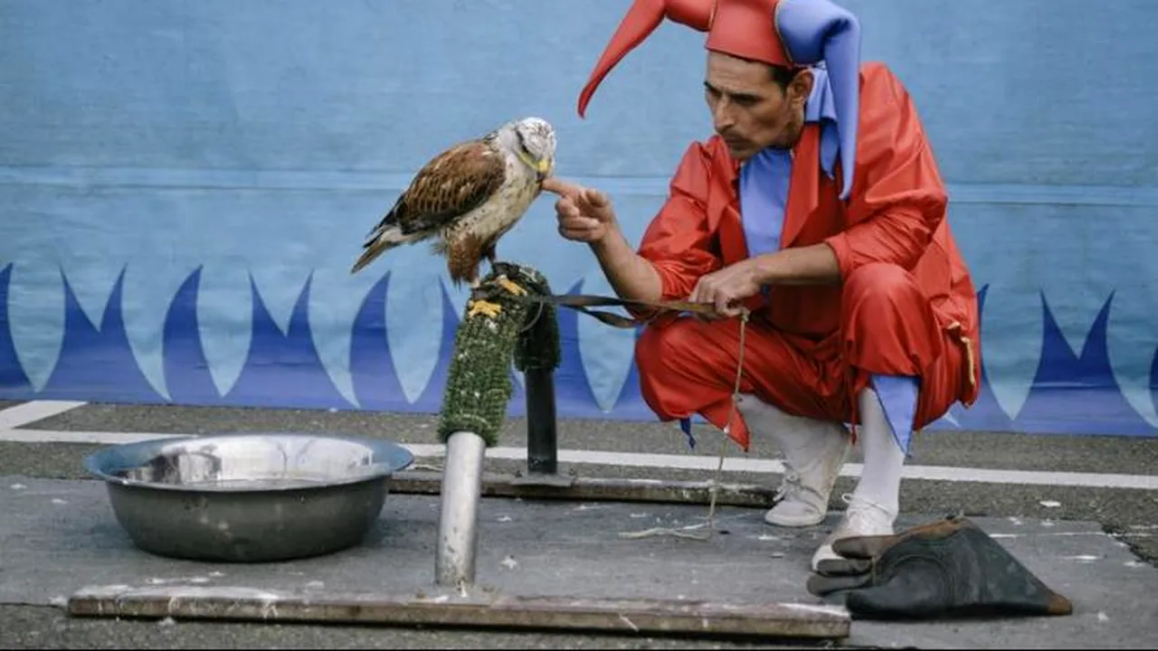 MEDIAFAX ZOOM: La circ