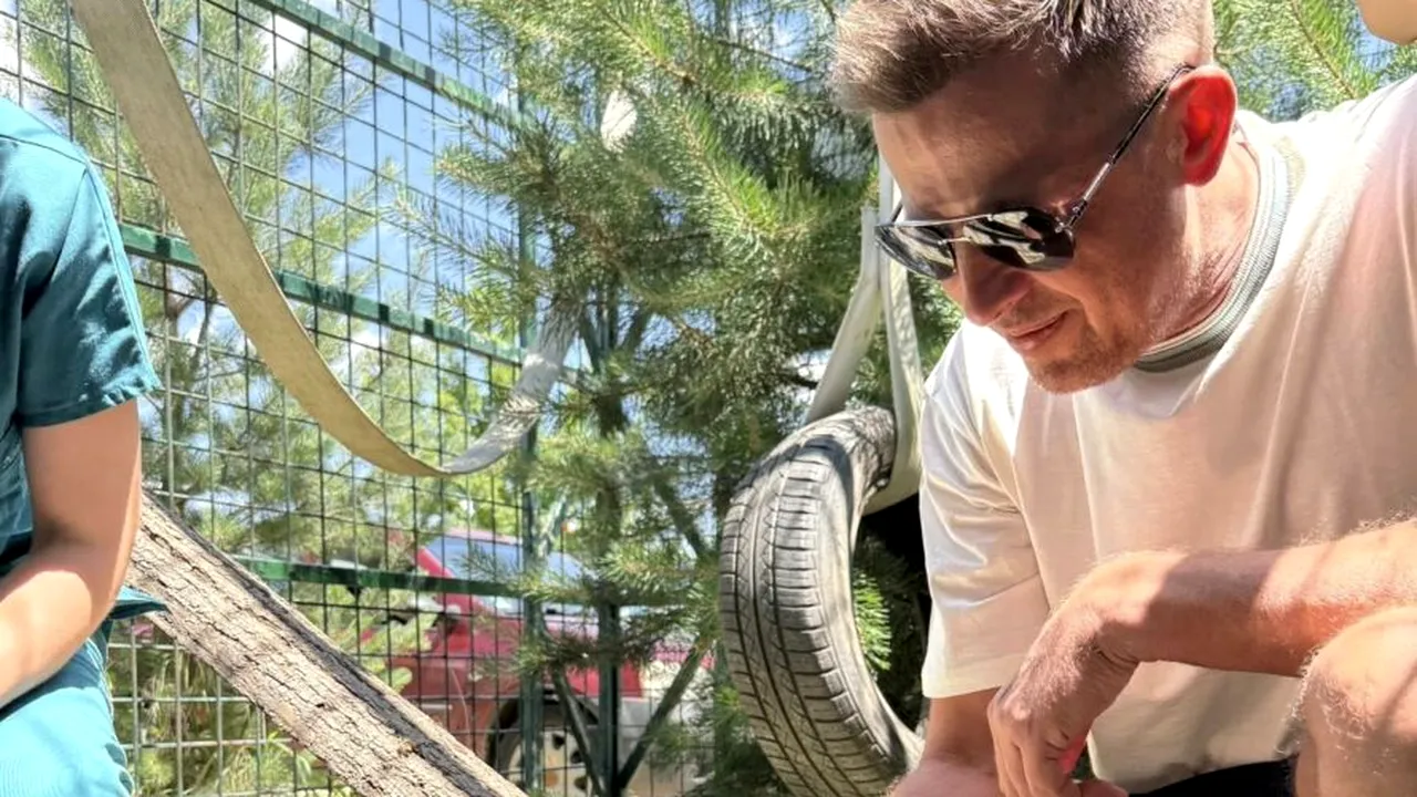 (P) Centru pentru salvarea și reabilitarea animalelor sălbatice, în Ilfov