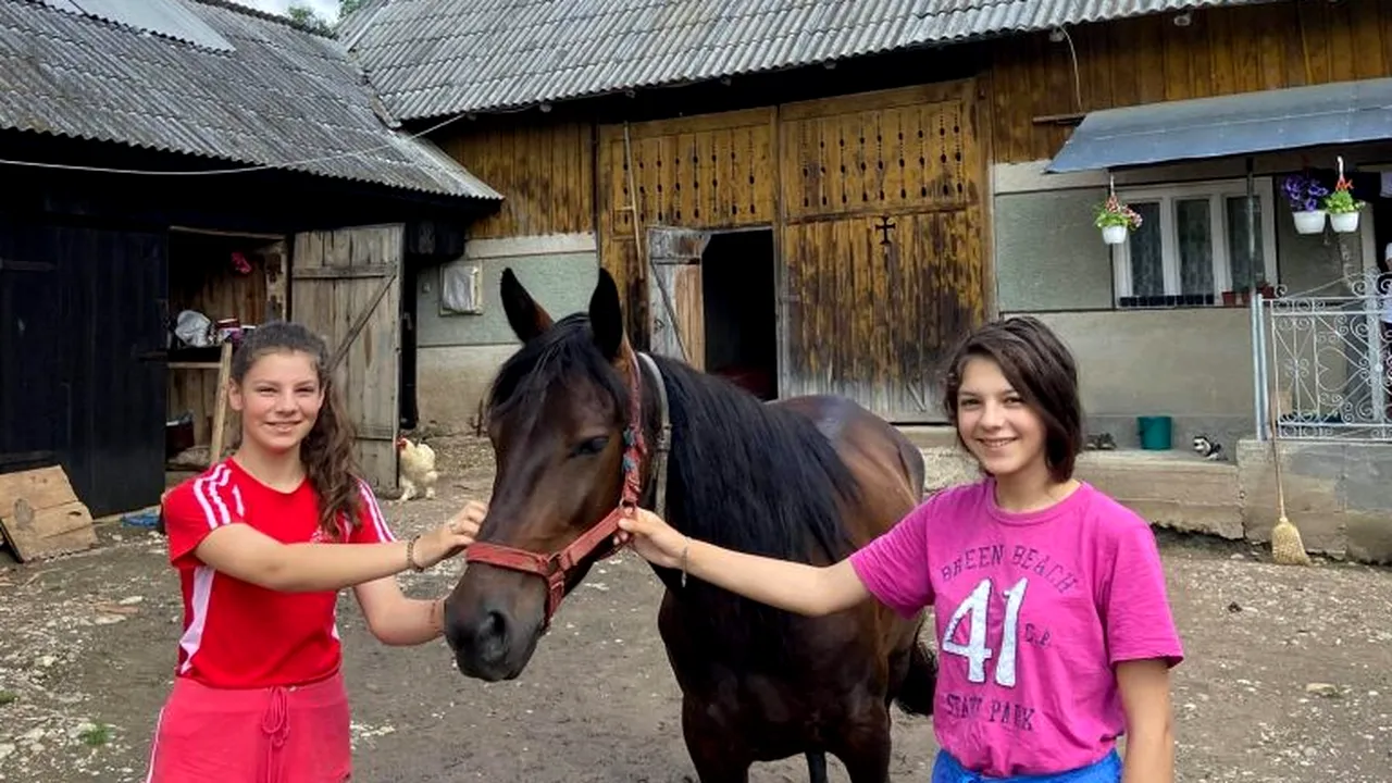 DONAȚIE. Povestea impresionantă a unei familii care a rămas fără bani din cauza pandemiei. Salvarea, un cal primit cadou