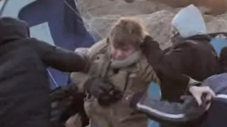 Atac sălbatic în „jungla