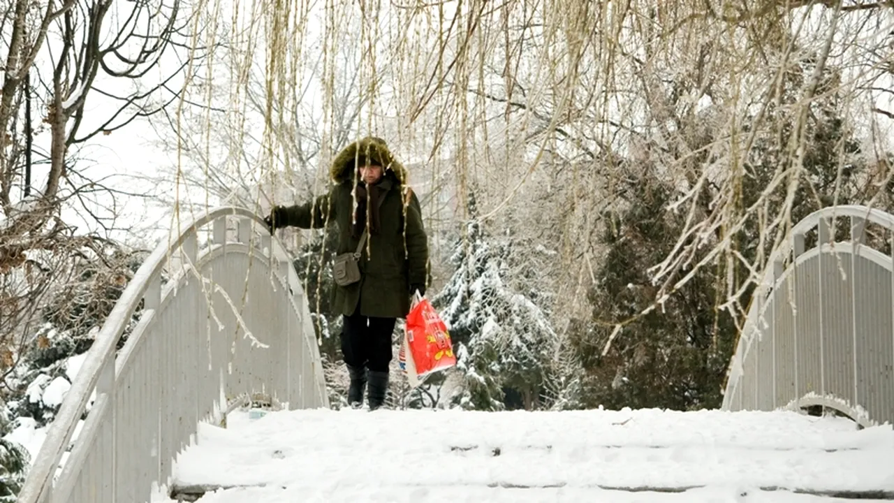 Chițoiu, despre ordonanța care anunța ger năprasnic: 