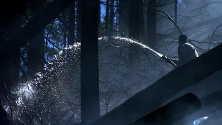 INCENDIU PUTERNIC în Munții Buzăului. Peste 50 de pompieri și silvicultori intervin pentru stingerea flăcărilor