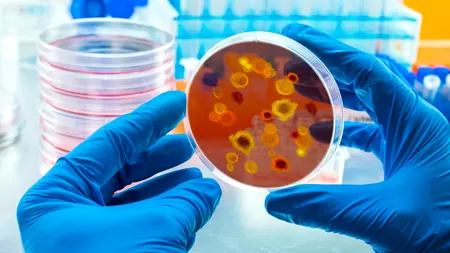 Efectele schimbărilor climatice: Două boli infecțioase ar putea afecta miliarde de oameni din cauza încălzirii globale