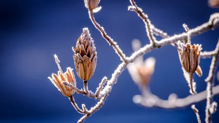 Vremea împarte România în două. Într-o parte e caniculă, iar în cealaltă avem brumă şi temperaturi la limita îngheţului