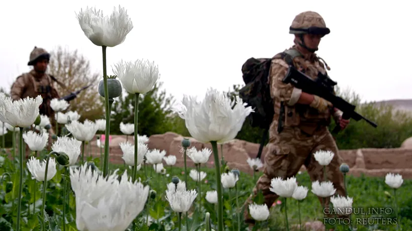 NATO pregătește retragerea din Afganistan, în timp ce producția de opiu bate record după record