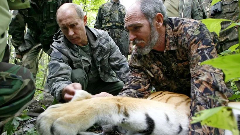 Un tigru siberian eliberat de Vladimir Putin a fugit în China