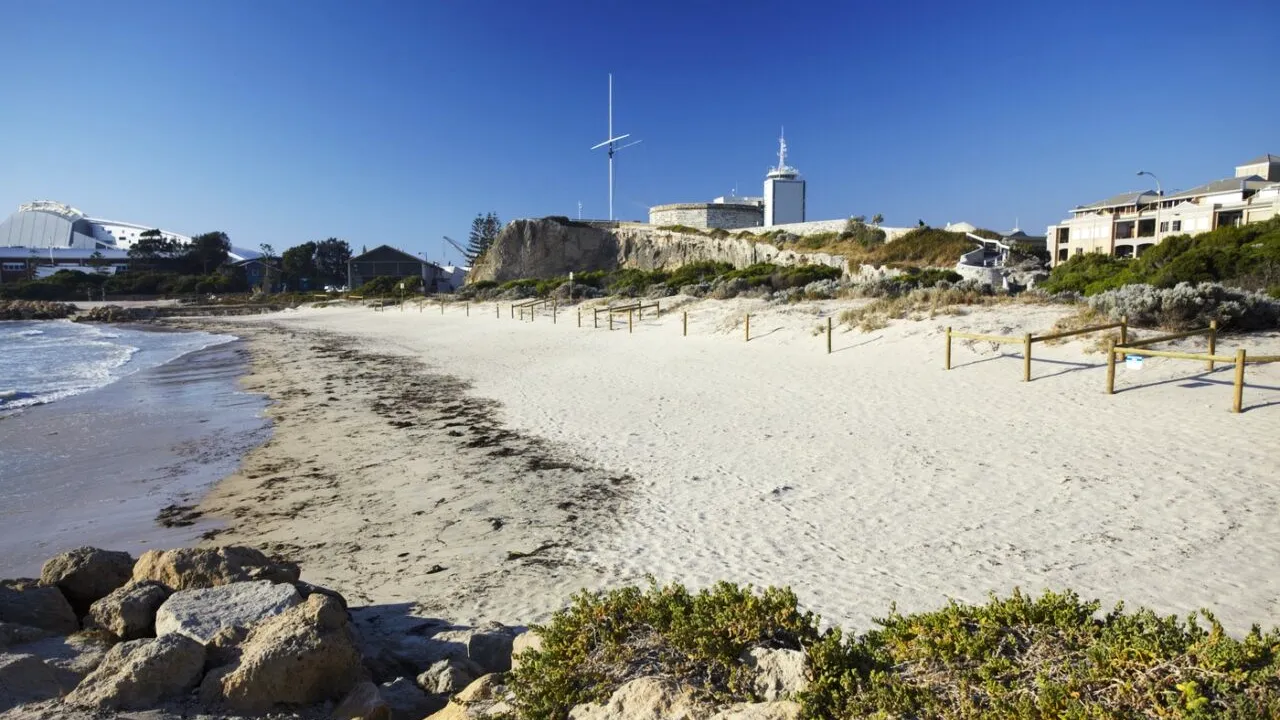 A fost dezlegat misterul BILELOR de CATRAN de pe plajele Australiei