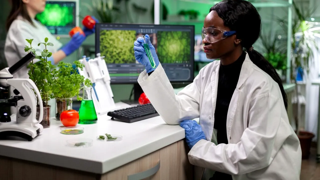 Alimente din plante sau carne obținută cu furaje modificate genetic, la secret. Ce spune noua lege referitor la organismele produse în laborator