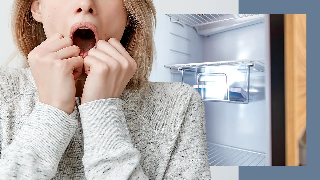 O soră și-a regăsit fratele TRANȘAT, în pungi de plastic, în frigider. Cine era criminalul