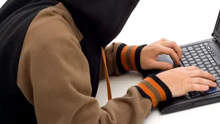 Percheziții la mai mulți utilizatori de internet care au distribuit 