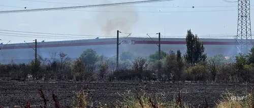 Un incendiu de vegetație a izbucnit în ILFOV. Autoritățile au intervenit cu 5 autospeciale pentru stingerea flăcărilor
