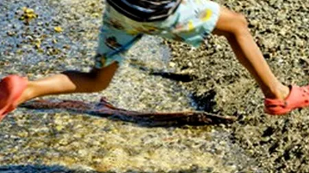 Banda de alergat e de domeniul trecutului. Care este cel mai ''nou'' mod de a te menține în formă