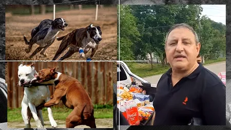 EXCLUSIV | Petre Geamănu, bănuit că vâna cu ogari, din arest la domiciliu. Mascații au descins în vila interlopului, de pe malul bălții Grivița