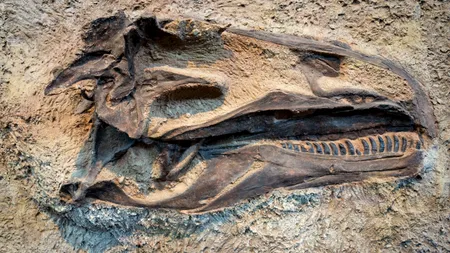 O nouă specie de DINOZAUR a fost descoperită în Spania