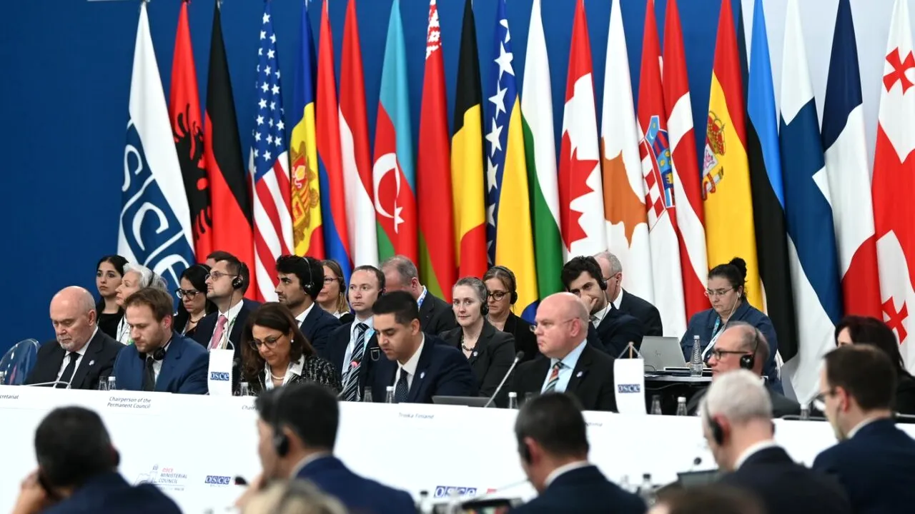 ATACUL cibernetic asupra spitalelor din România, din februarie, analizat de experții SUA la OSCE: „Mâna rușilor în peste 150 de cazuri”