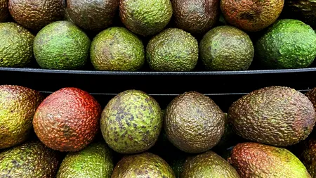 Avocado: fructul cu 100 de BENEFICII care îți poate prelungi viața