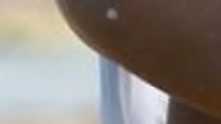 FOTO: Imaginea făcută „din greșeală