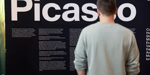 Instalația de arhitectură omagială pentru susținerea și promovarea expoziției Efectul Picasso, de la Muzeul de Artă Recentă, a ajuns la Promenada Mall