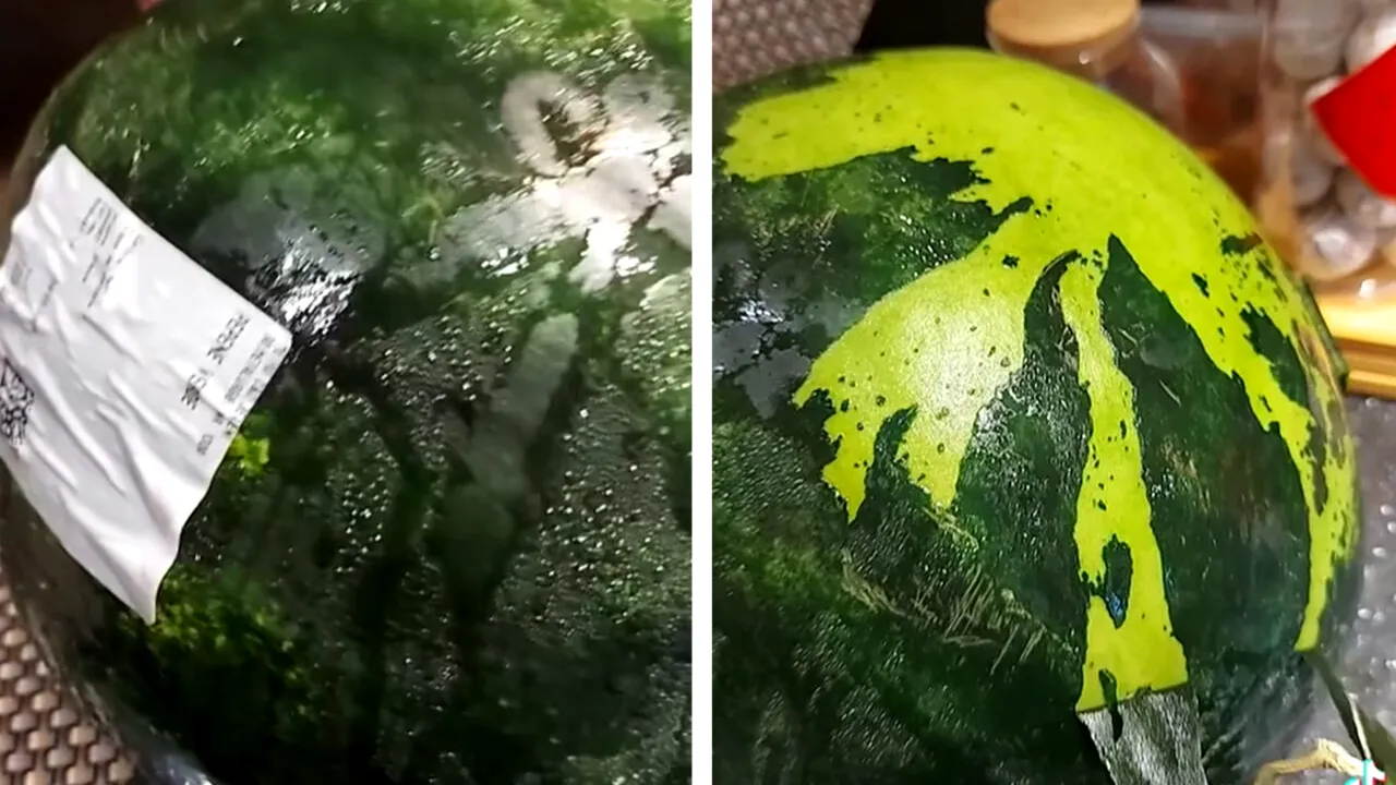 Fiindu-i poftă, o bucureșteancă a cumpărat un pepene din METRO. Ajunsă acasă, a înlemnit. Ce era pepenele, de fapt