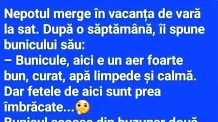 Bancul de duminică | Vacanța de vară la țară