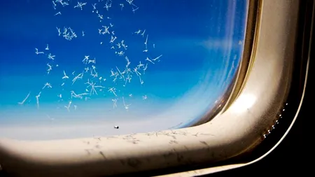 Detaliul ignorat de majoritatea pasagerilor care stau pe locurile 