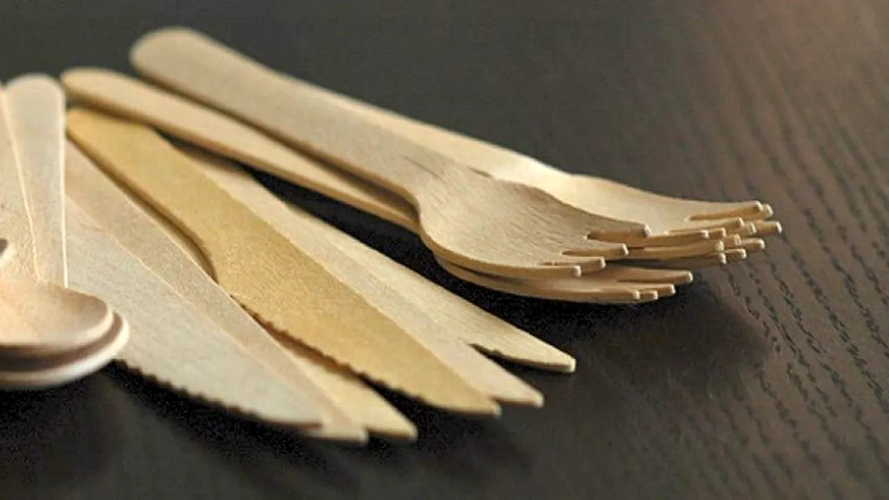 Ambalajele eco friendly, o alegere atentă a celor din Horeca - iată de ce
