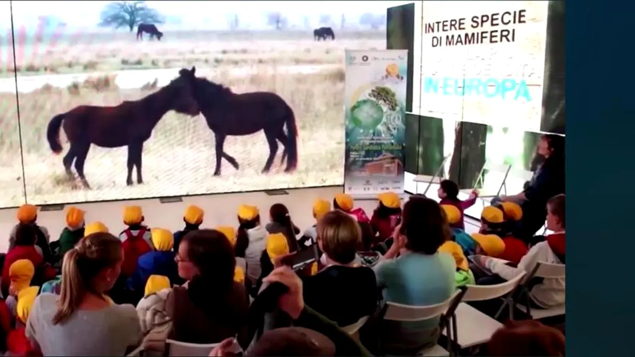 Festivalurile de film s-au refugiat în lumea virtuală. Audiență record după primele 3 zile de proiecție la Festivalul Internațional de Film Ecologist ECOFEST