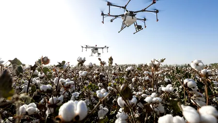 Huawei nu va fi, cel mai probabil, singura țintă în războiul comercial. Companiile chineze care ar putea avea aceeași soartă în SUA