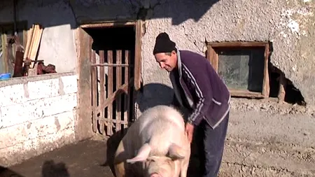 Ofertă inedită de Crăciun. Ce încearcă să vândă un gălățean