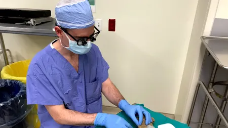 Un chirurg a operat UN URS DE PLUȘ pentru un băiat de 8 ani: Cum puteam să spun nu?
