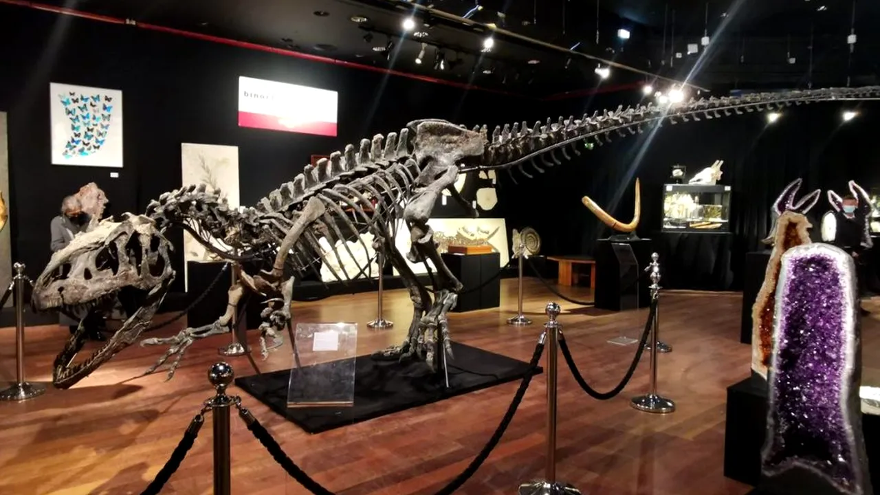Bunicul lui T-Rex, vândut cu 3 milioane de euro la Paris! Cine a dat o avere pe un schelet de dinozaur vechi de 150 de milioane de ani - GALERIE FOTO