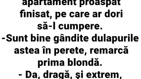 Banc | Două blonde vor să cumpere un apartament