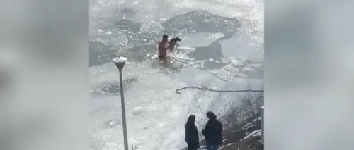 Un tânăr din Dej a sărit în apa înghețată a unui lac pentru a salva un câine