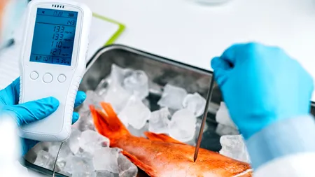 Comisia Europeană a redus nivelul maxim admis de plumb și cadmiu în produsele alimentare. Când intră în vigoare noile regulamente