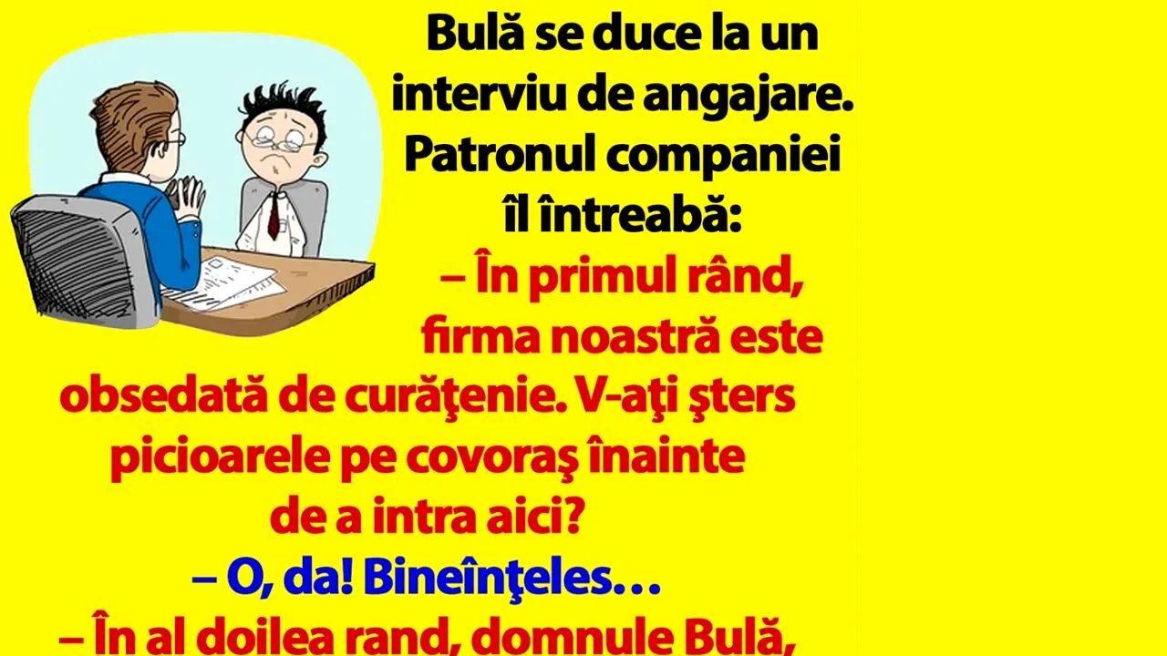 BANC | Bulă se duce la un interviu de angajare: „V-aţi şters picioarele pe covoraş înainte de a intra aici?