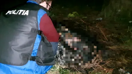 Un bărbat care și-a incendiat câinele a fost reținut pentru uciderea animalelor. A fost deranjat că ar fi fost „prea gălăgios”